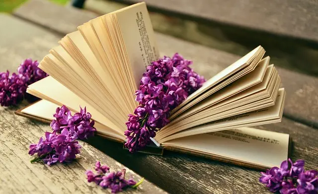 10 Key Strategies for Achieving Writing Mastery
