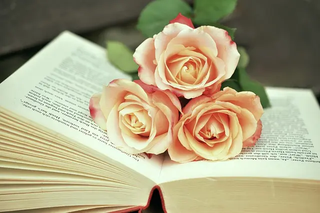10 Essential Tips for Mastering Your Writing Style