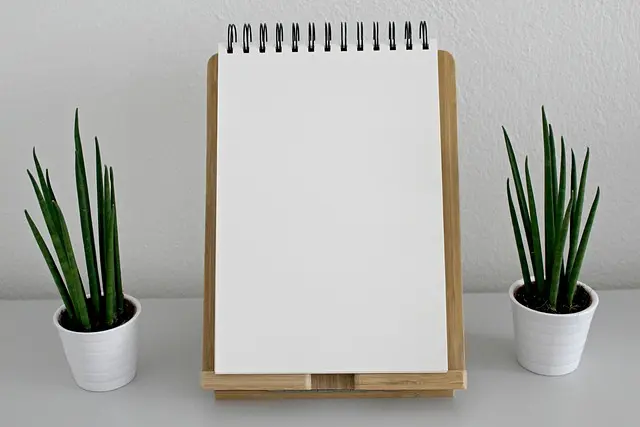 10 Essential Steps to Mastering Writing Discipline