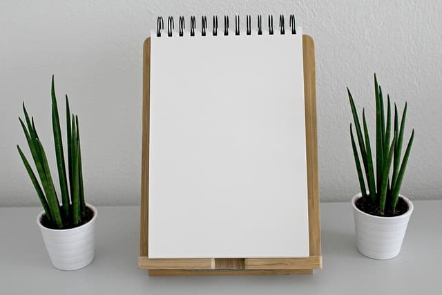 How to Cultivate Your Creative Writing Skills